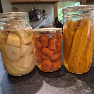 Home canned potatoes, carrots and sweet potatoes