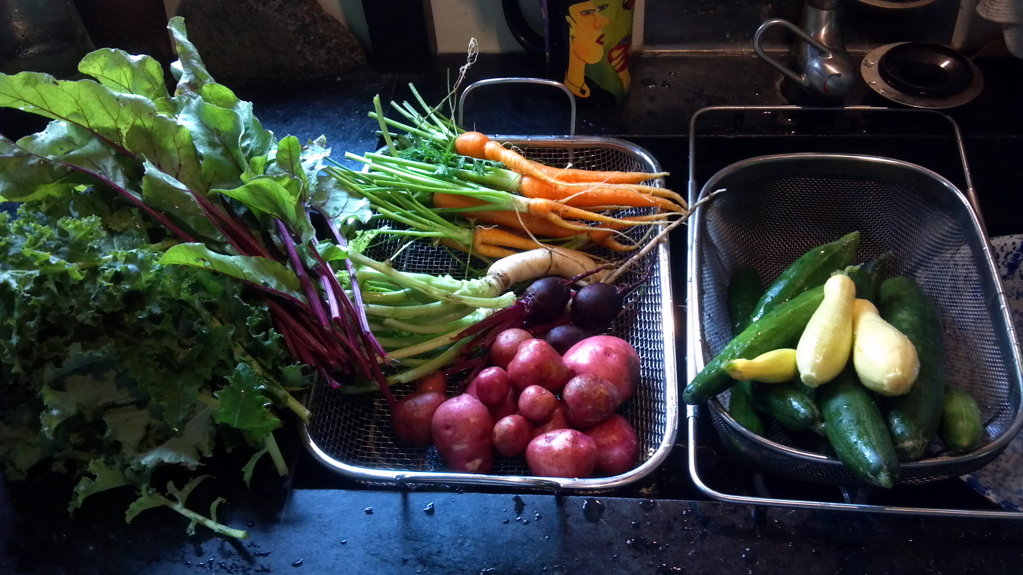 veggie harvest
